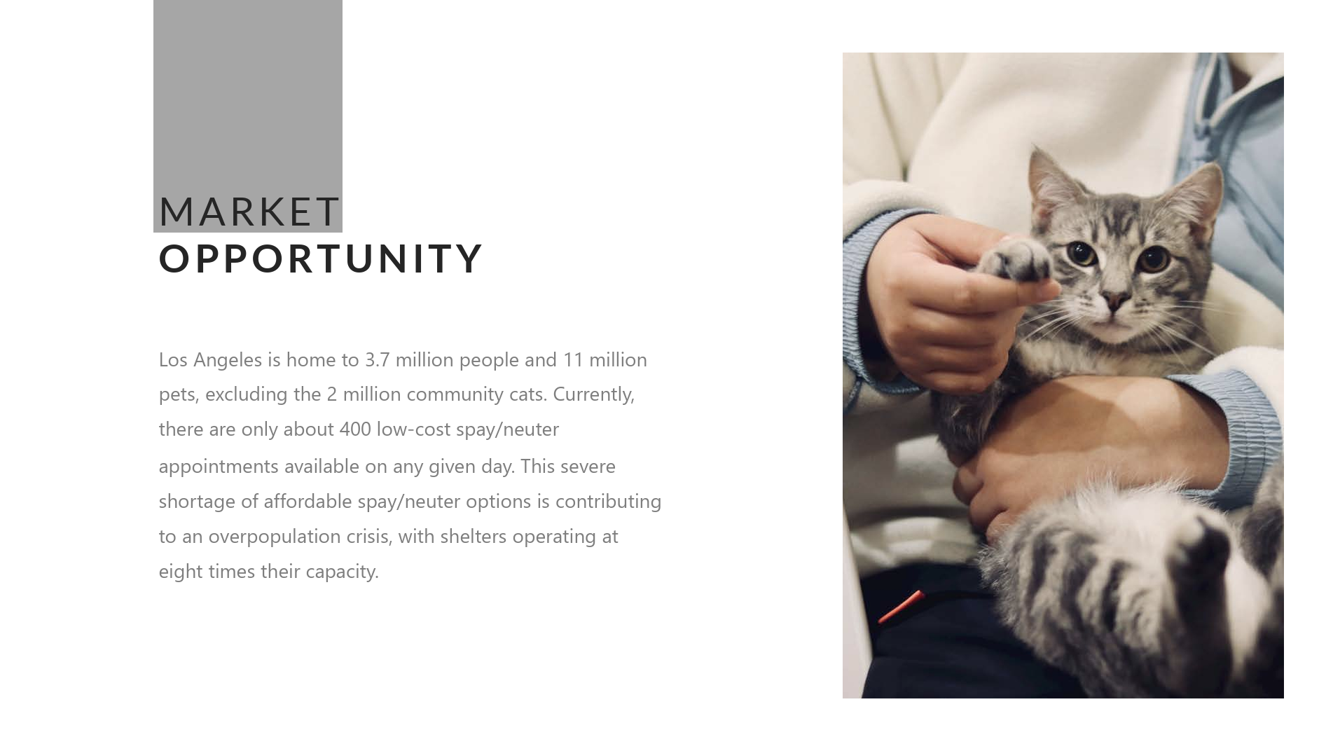 spay_la_opportunity